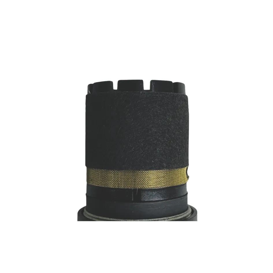 CAP-DLS8